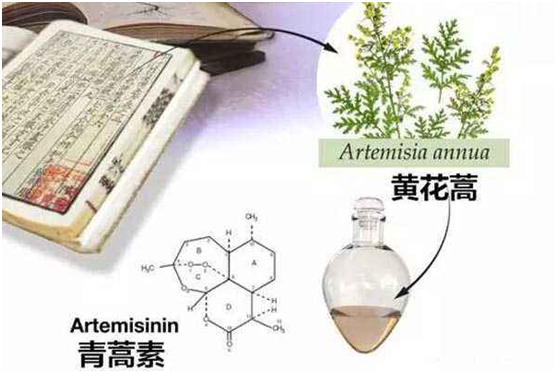 万象城注册网(中国区)首页,：向中医药看齐，与世界共享中医药文化(图1)